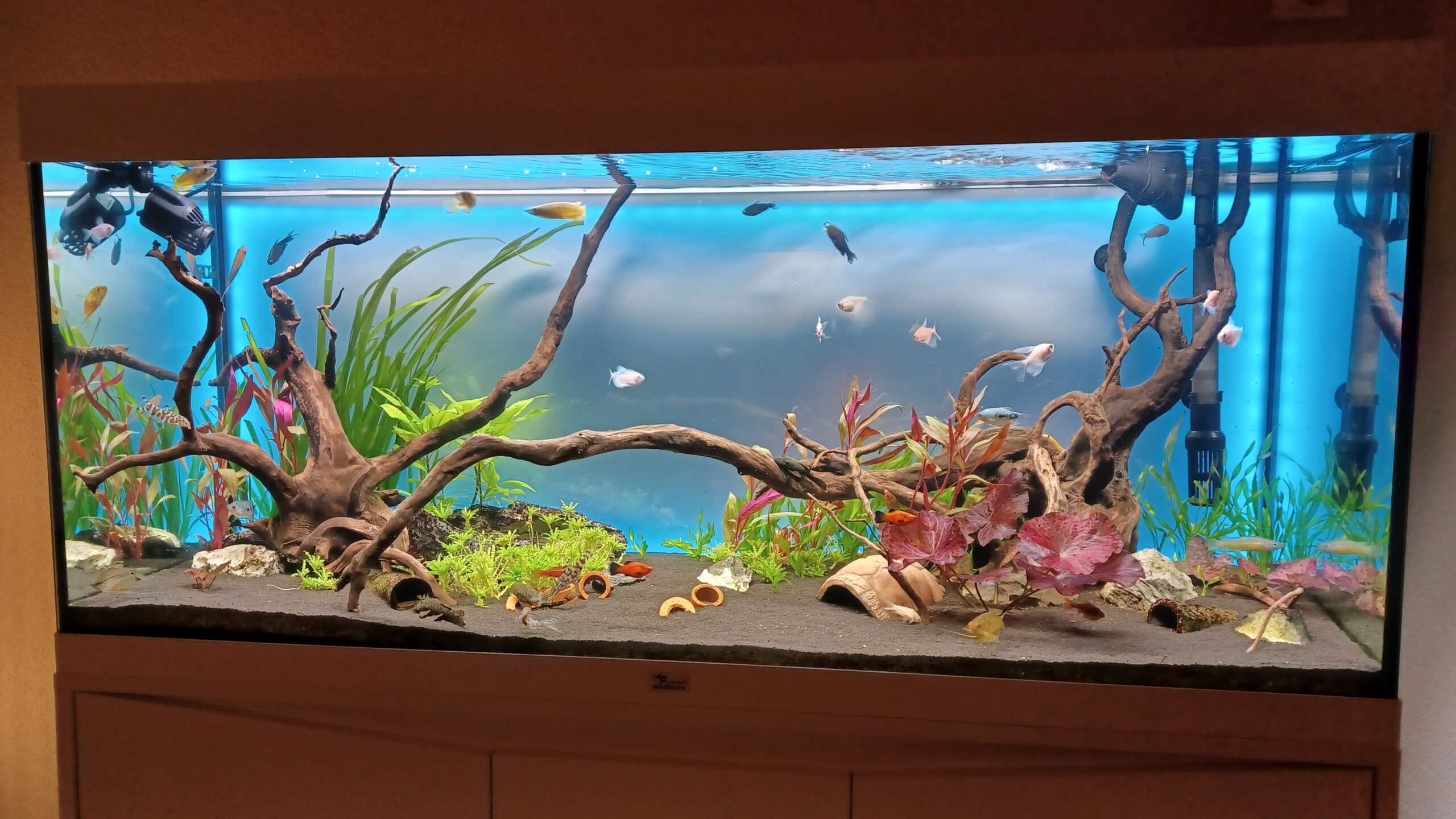 Aquarium plexiglas helder