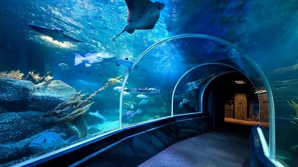 aquarium polycarbonaat