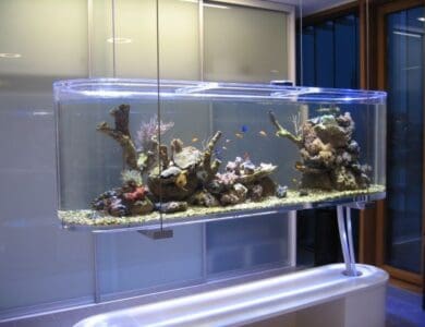 Plexiglas aquarium
