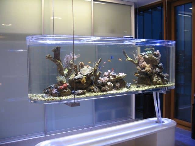 Aquarium van plexiglas