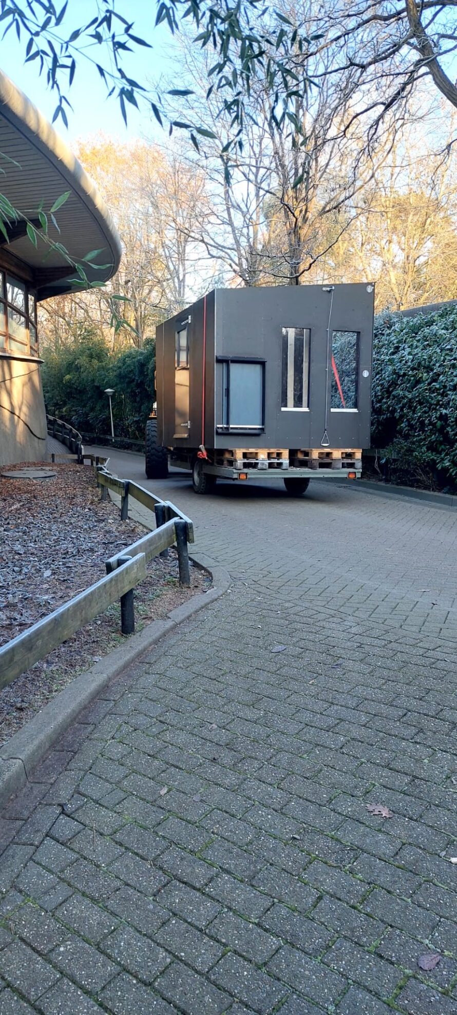 Cheetahuisje Burgers zoo