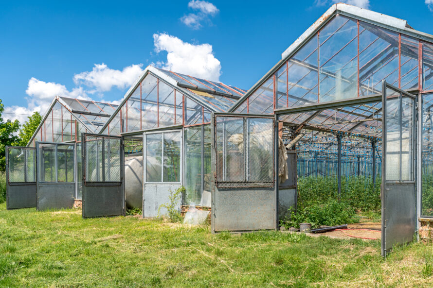 Kas polycarbonaat 10 mm